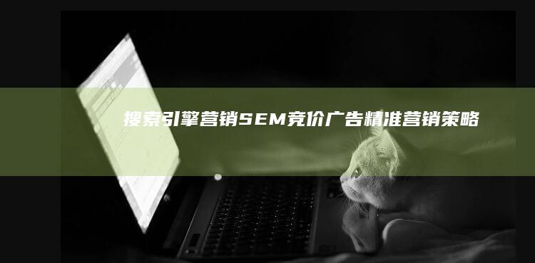 搜索引擎营销(SEM)竞价广告：精准营销策略与效果优化指南